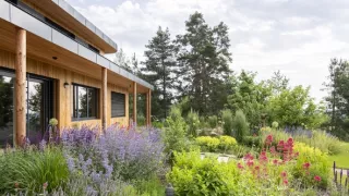 Ferdinandove záhrady III (5/8)