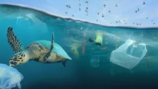 Planéta sa topí v plastoch (1/2)