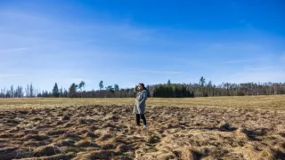 Dynastia Prachařovcov