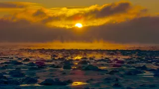 Jak přežít mráz v divočině