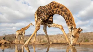 Zachyceno v pohybu (2)