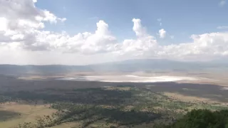 Království divočiny: Hyeny skvrnité, Tanzanie