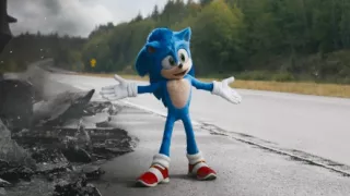 Ježko Sonic