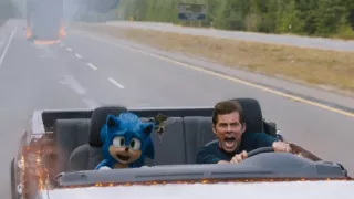 Ježko Sonic