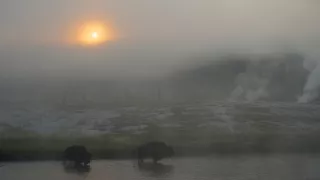 Začalo to v Yellowstone - národné parky USA a ich príroda