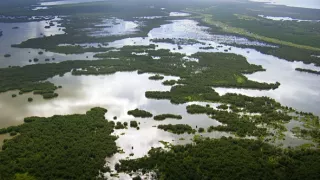Začalo to v Yellowstone - národné parky USA a ich príroda