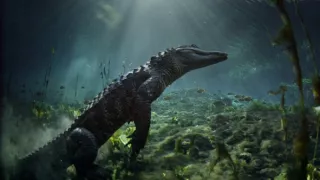 Začalo to v Yellowstone - národné parky USA a ich príroda