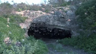 Neuvěřitelné schopnosti netopýrů