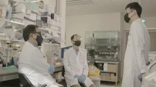 Neuvěřitelné schopnosti netopýrů