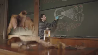 Neuvěřitelné schopnosti netopýrů