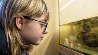 Plné hniezdo v Libereckom kraji 2