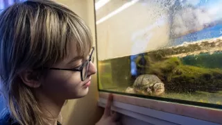 Plné hniezdo v Libereckom kraji 2