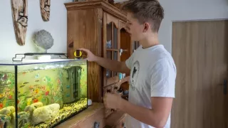 Plné hniezdo v Libereckom kraji 2