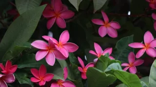 Havaj, ostrovy uprostred Pacifiku