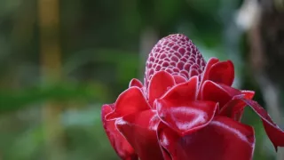 Havaj, ostrovy uprostred Pacifiku