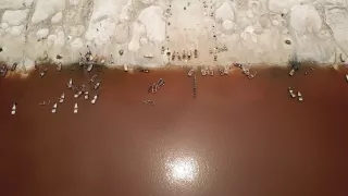 Po jednej stope do Afriky (3/17)