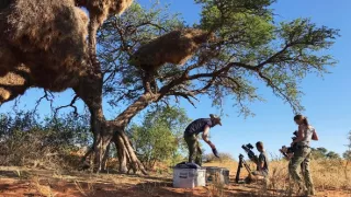 Spolužitie v africkej divočine