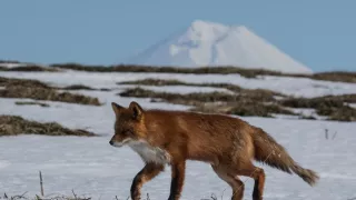 Peklo i raj: Divoké ruské more (1/2)