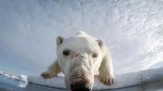 Zázračná planeta: Špioni v přírodě (4/4)