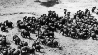 Archa svetiel a tieňov