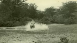 Archa svetiel a tieňov