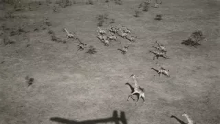 Archa svetiel a tieňov