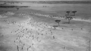 Archa svetiel a tieňov