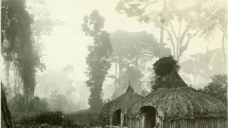 Archa svetiel a tieňov