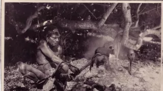 Archa svetiel a tieňov