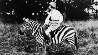 Archa svetiel a tieňov