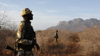 Archa svetiel a tieňov