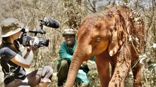 Archa svetiel a tieňov