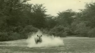 Archa svetiel a tieňov