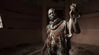 Pytóny, nelegálne obchody s exotickými zvieratami