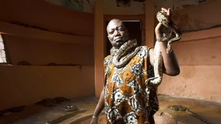 Pytóny, nelegálne obchody s exotickými zvieratami