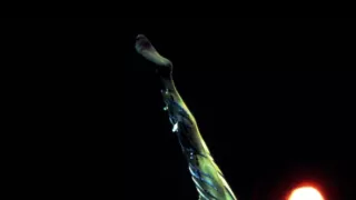 Cirque du Soleil: Dralion