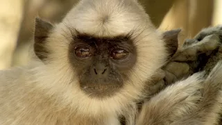 Nečekaná partnerství