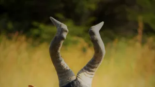 Na cestě po jihoafrickém Gautengu