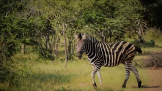 Na cestě po jihoafrickém Gautengu