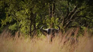 Na cestě po jihoafrickém Gautengu
