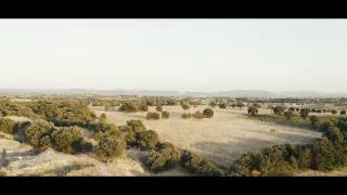 Putování Priamova pokladu