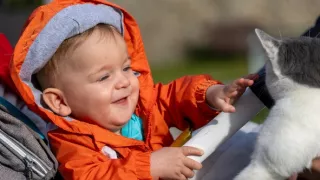 Plné hniezdo v Juhomoravskom kraji 2