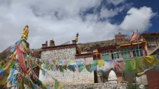 Divoká príroda Číny (1/2)