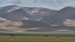 Divoká príroda Číny (1/2)