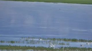 Divoká príroda Číny (1/2)