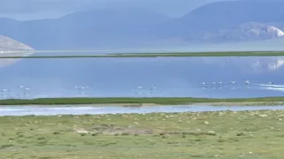 Divoká príroda Číny (1/2)