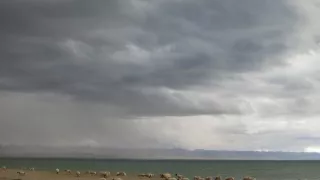 Divoká príroda Číny (1/2)