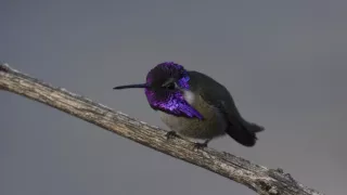 Rok na planetě Zemi (2/6)