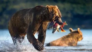 Dokonalá planéta (1/5)