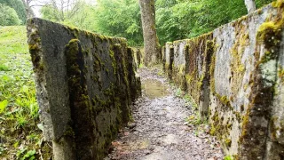 Raport o Velké válce